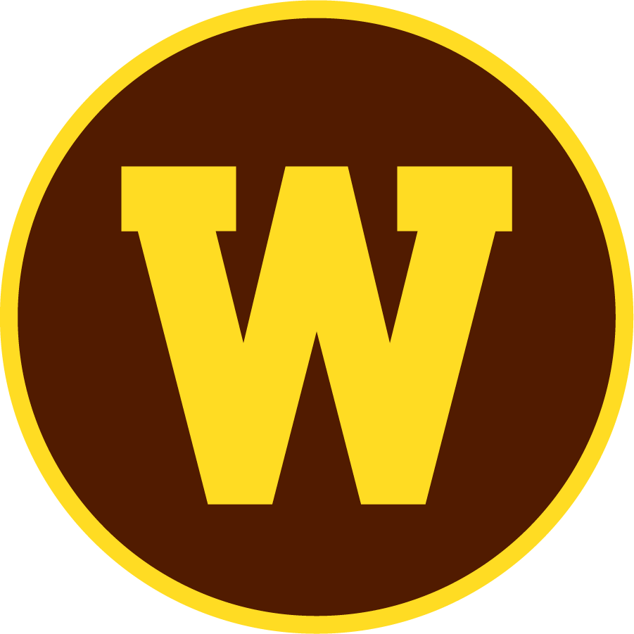 Western Michigan Broncos 2021-Pres Alternate Logo DIY iron on transfer (heat transfer)
